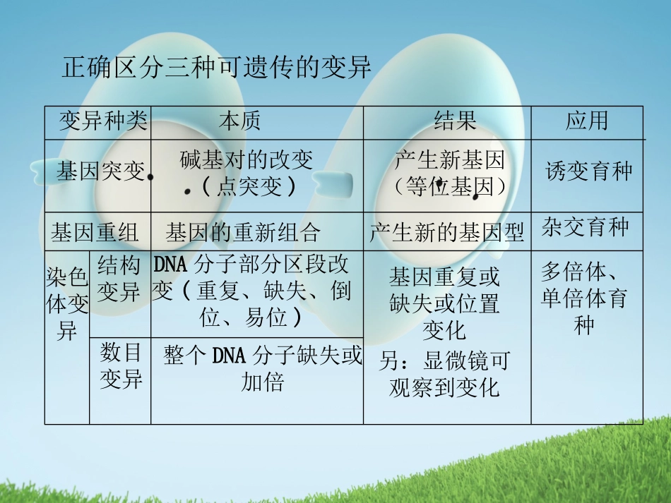 2011届高考生物一轮复习课件：专题九_生物的变异与进化(必修2)_第3页