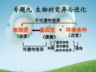 2011届高考生物一轮复习课件：专题九_生物的变异与进化(必修2)
