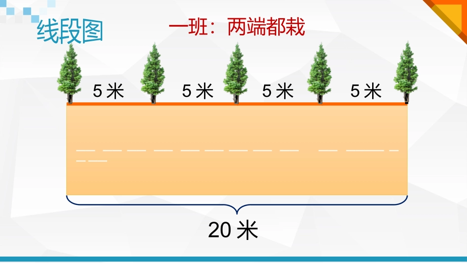 植树问题 (2)_第3页