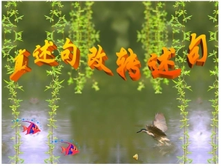 直述句改转述句方法及练习 ()