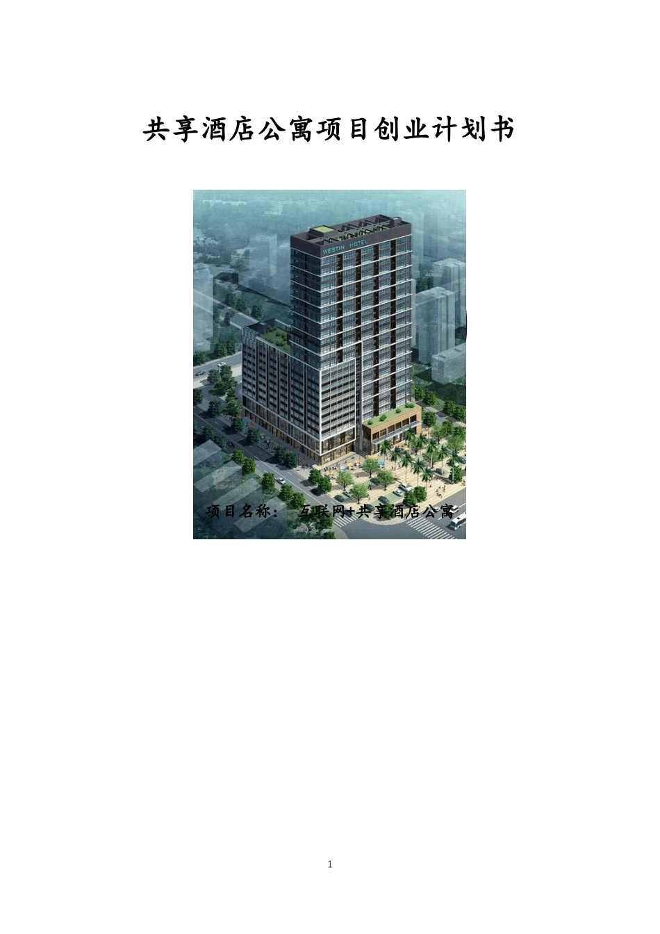 项目策划书最新_第1页