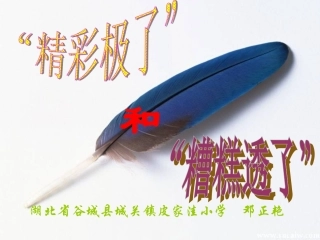 精彩极了”和“糟糕透了”