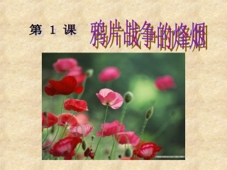 第1课鸦片战争的烽烟