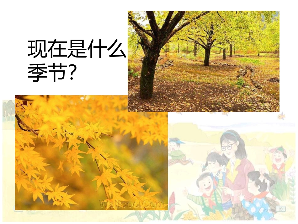 《1、秋游》_第1页