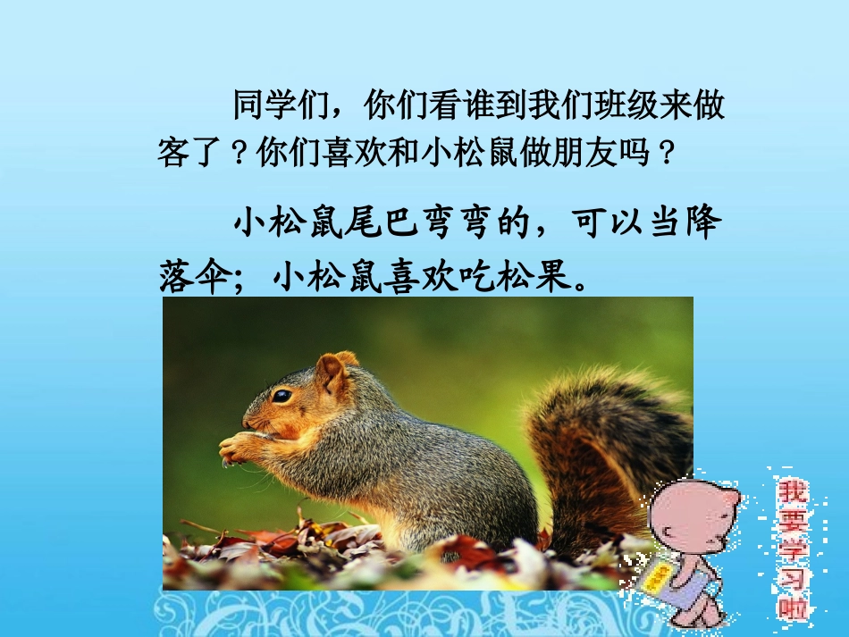 《松鼠和松果》_第1页