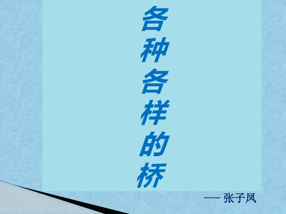 《各种各样的桥》_第1页