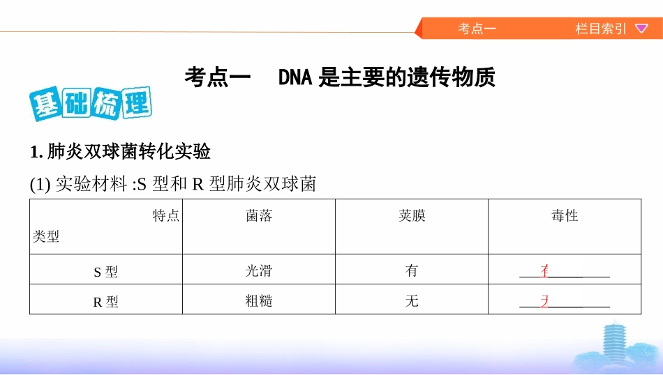 第17讲　DNA是主要的遗传物质及其结构与复制_第2页