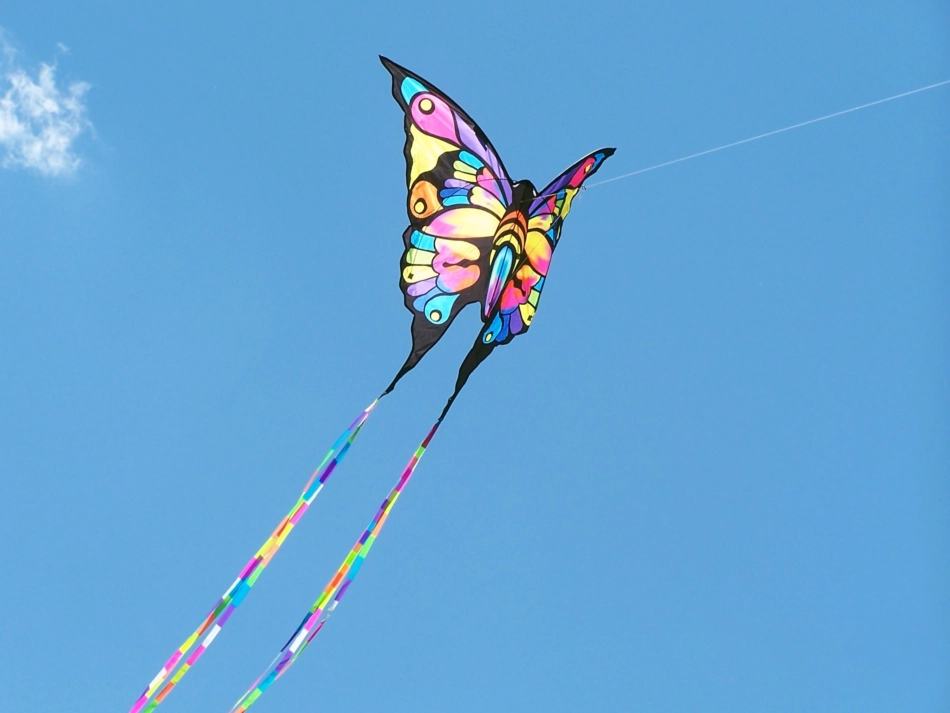 六年级语文下册第七组2理想的风筝第一课时课件_第3页