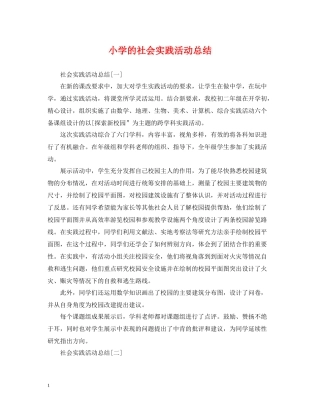 小学的社会实践活动总结