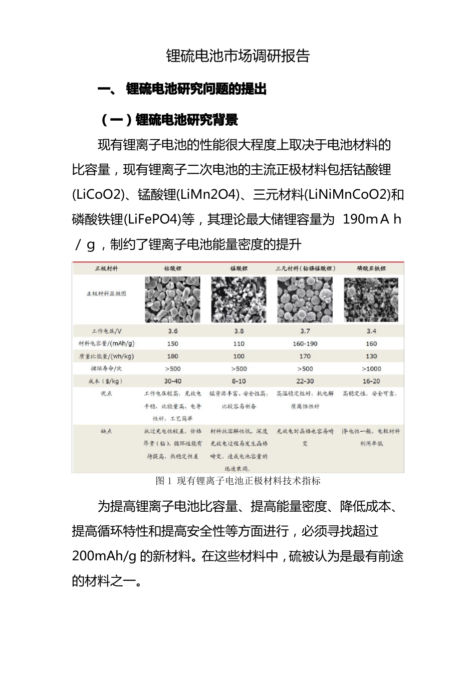 锂硫电池场调研报告_第1页