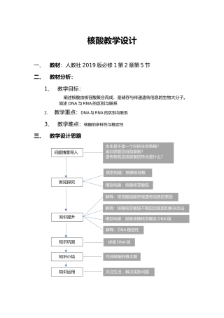 核酸教学设计