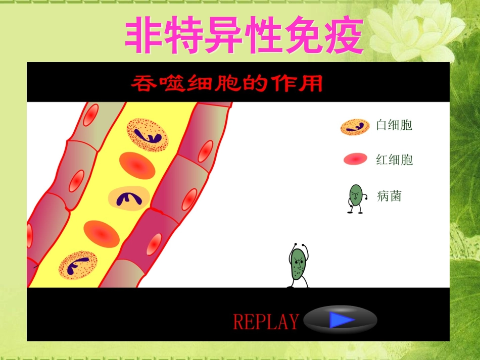 谢佳：体液免疫_第1页