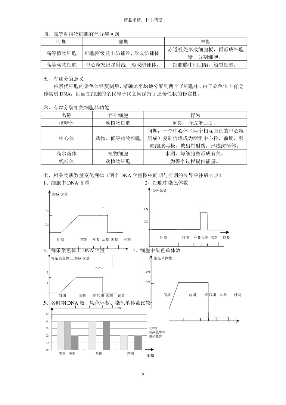 高中有丝分裂与减数分裂讲义_第2页