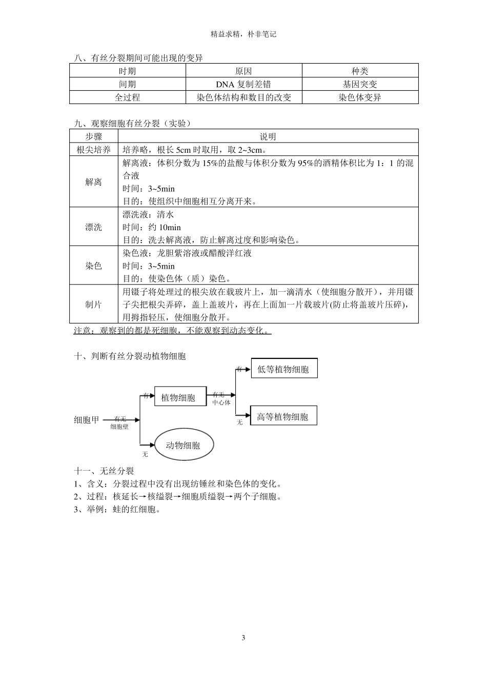 高中有丝分裂与减数分裂讲义_第3页