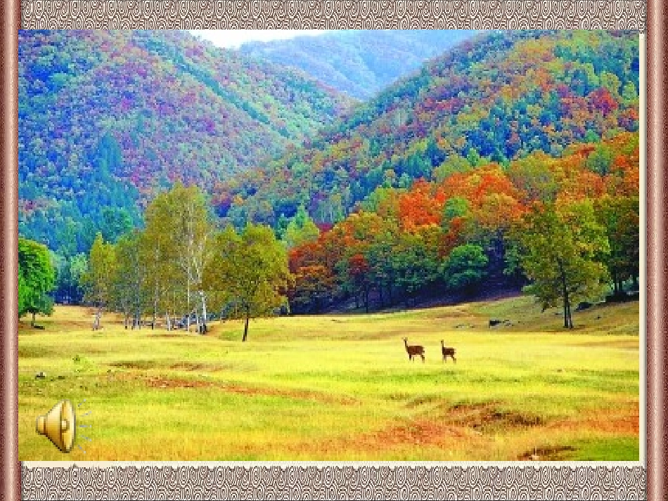 古诗《山行》课件_第2页