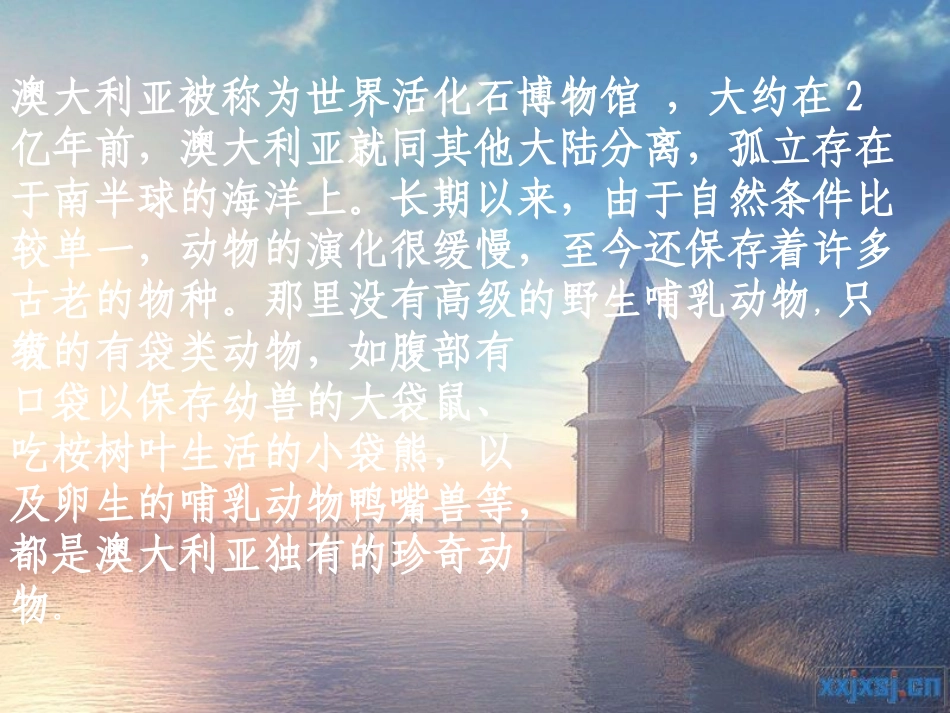 澳大利亚-特有动物_第2页