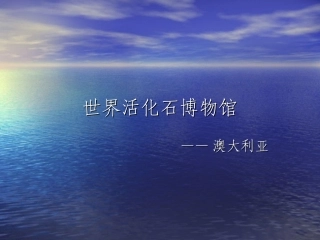 澳大利亚-特有动物