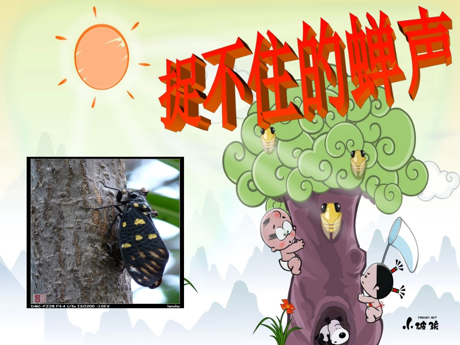 终结版《捉不住的蝉声》_第3页