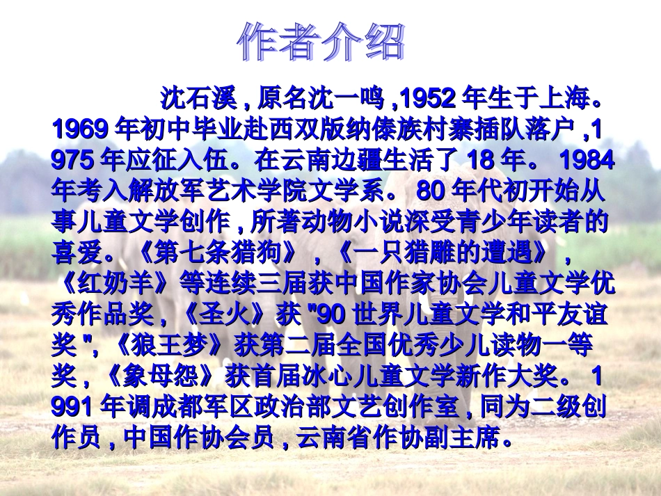 最后一头战象课件_第3页