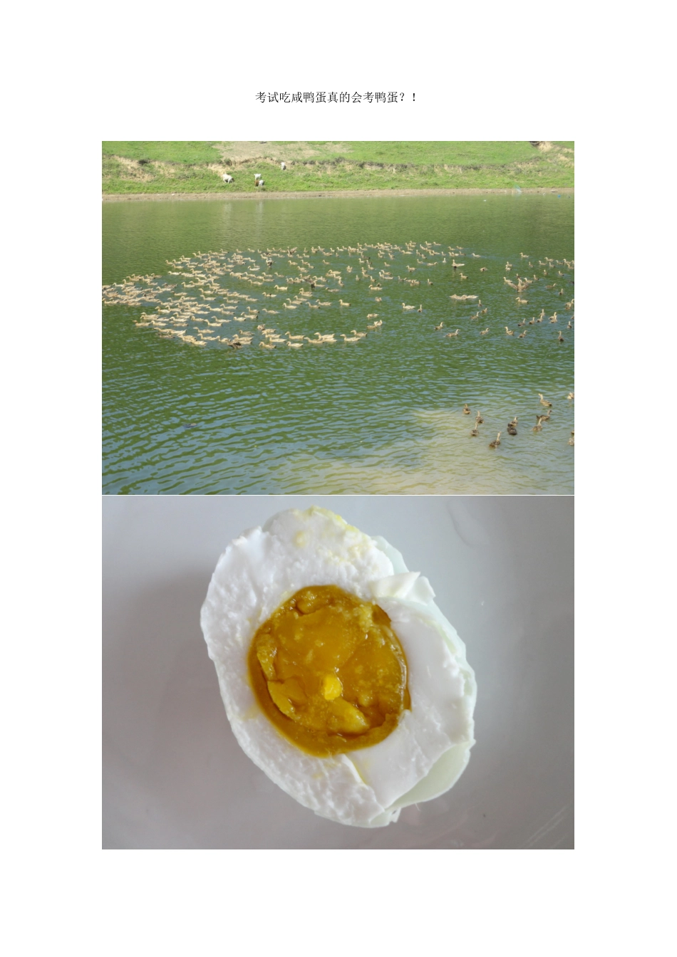 考试吃咸鸭蛋真的会考鸭蛋_第1页