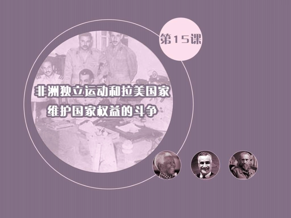 岳麓版历史九下第15课《非洲独立运动和拉美国家维护国家权》课件_第2页