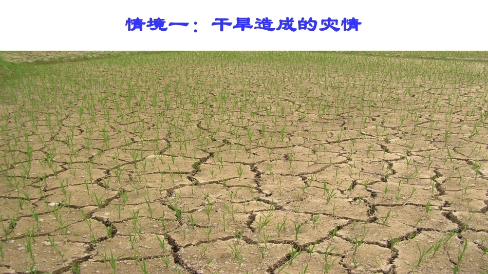 八年级上一次函数的应用_第3页