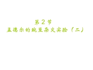 孟德尔的豌豆杂交实验（二）课件（张）