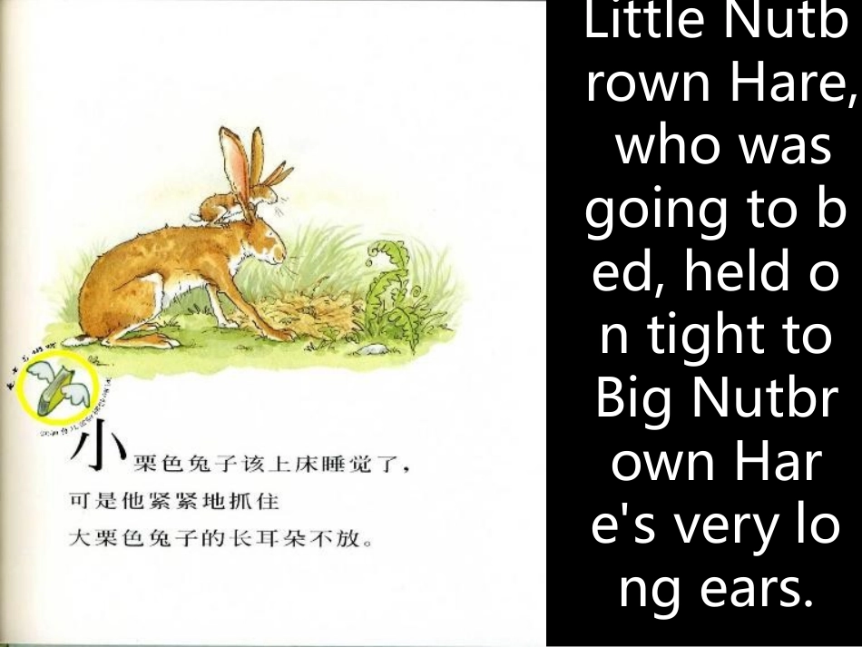 猜猜我有多爱你绘本_第3页