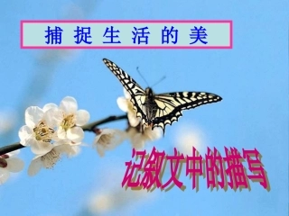 捕捉生活的美——记叙文中的描写