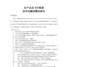 飞行检查整改报告