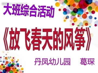 说课活动《放飞的风筝》