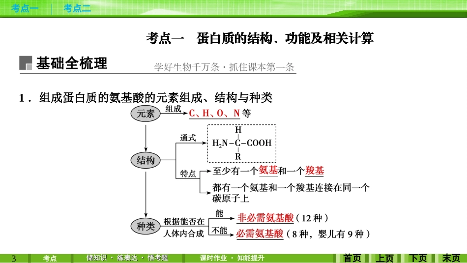 第3讲蛋白质和核酸_第3页