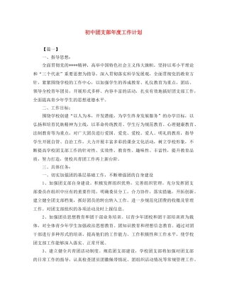 初中团支部年度工作计划 