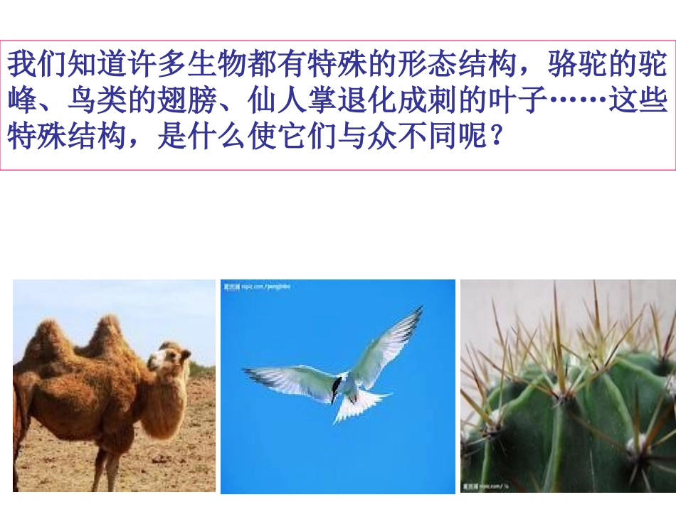 原来是相互关联的(已改)_第3页