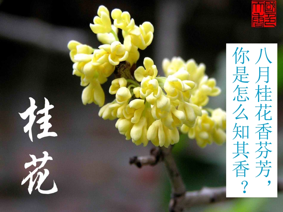 第三单元课题1分子和原子_第2页