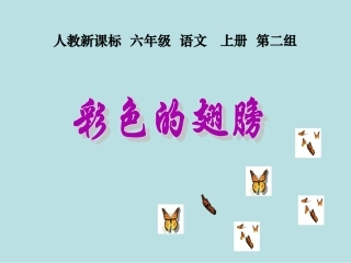 小学六年级语文上册《彩色的翅膀》PPT课件(精选)