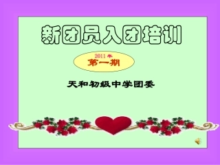 新团员入团培训