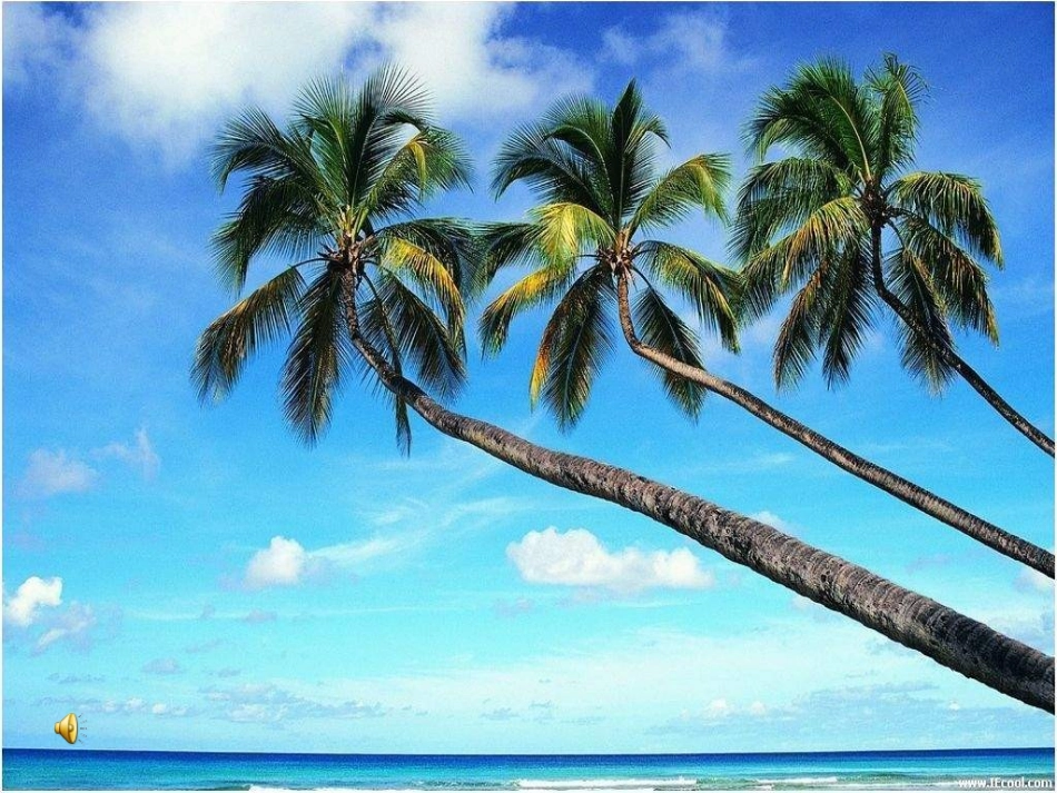 初中音乐《海滨音诗》课件_第1页