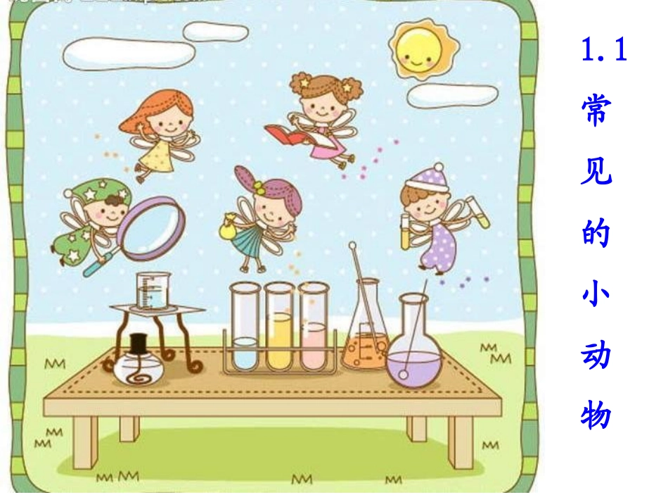 常见的小动物_第1页