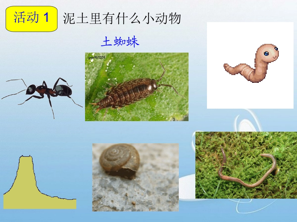 常见的小动物_第2页