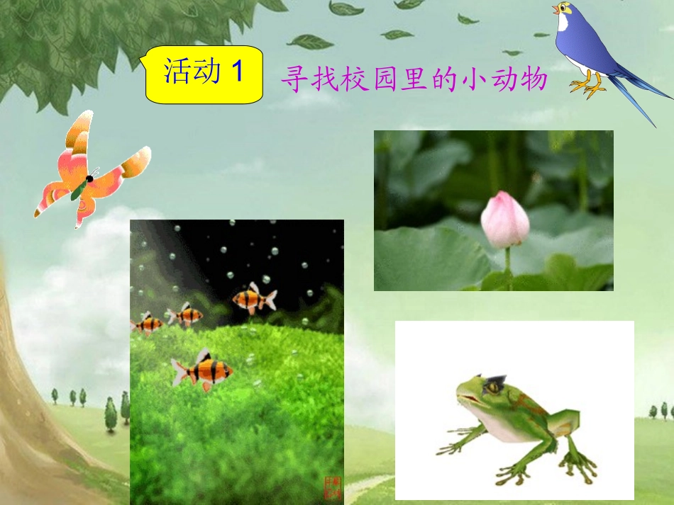 常见的小动物_第3页