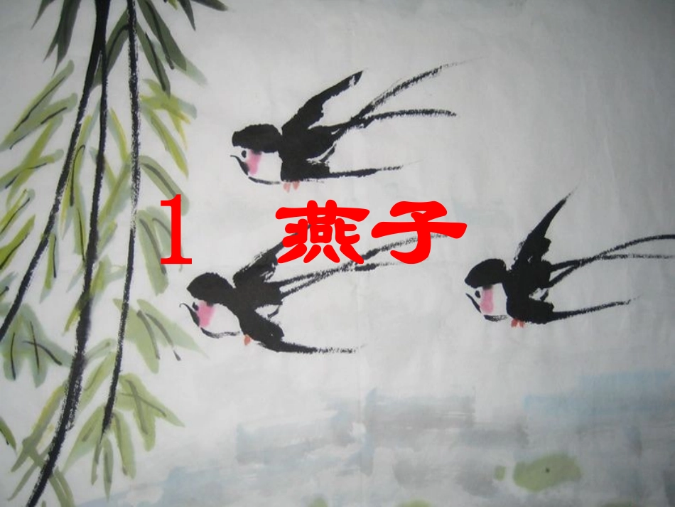 《燕子》PPT课件_第1页