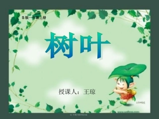 课件《树叶》_正式课件树叶