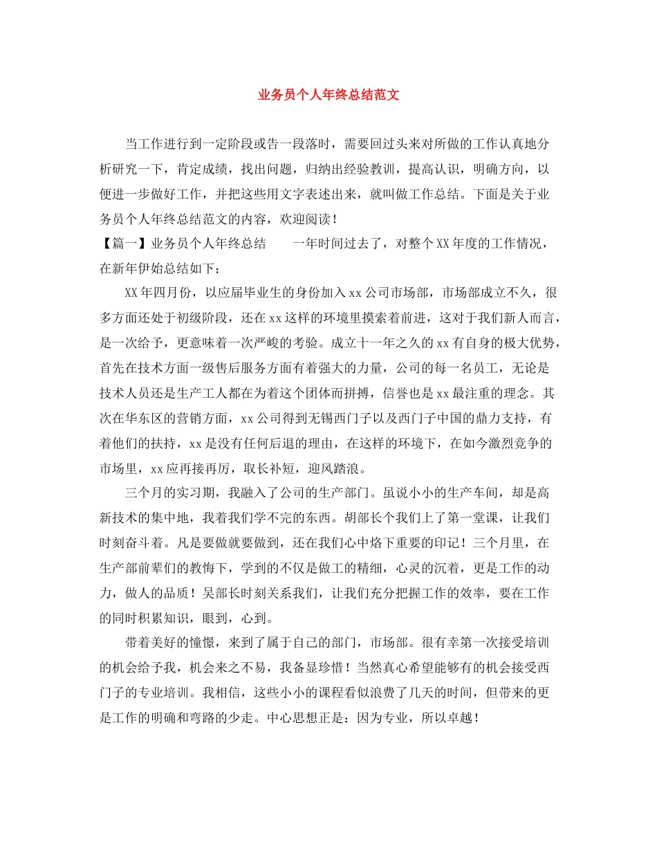业务员个人年终总结范文_第1页
