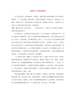 业务员个人年终总结范文