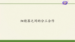 (课件)细胞器之间的分工合作