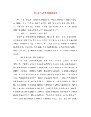审计局个人年终工作总结范文