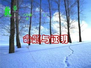 《命题与证明》课件