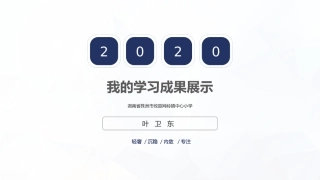 技术支持的学习成果展示