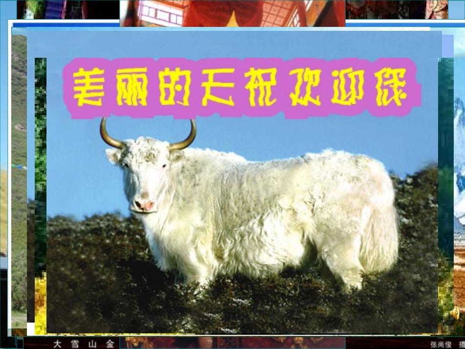 人教版选修七Unit5《Usinglanguage》_第1页